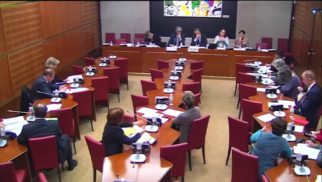Examen du projet de loi sur les domaines de la propriété littéraire et artistique et du patrimoine culturel - Mercredi 12 Novembre 2014