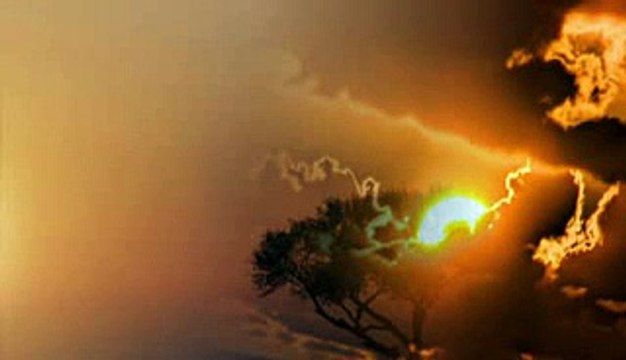 Vasilija Radojcic - Bilbil pile, ne poj rano!