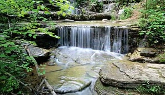 Vasilija Radojcic - Blagunjo dejce,mori!