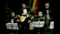 Vasilija Radojcic - Po mesecini kraj simsira