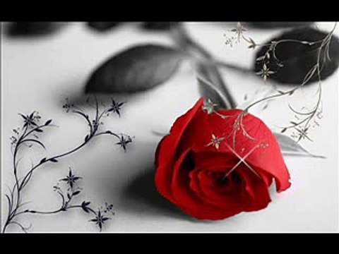 Vasilija Radojcic - Cvece ruzo,majska duso!