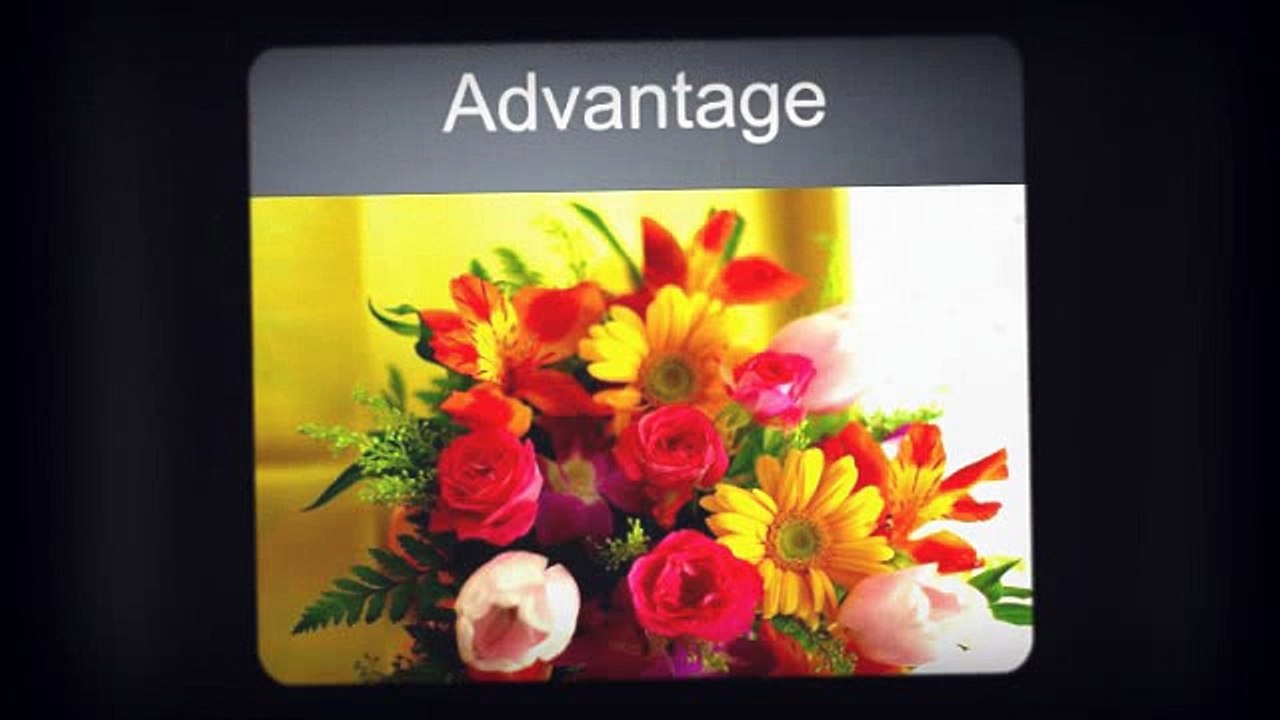 What Are the Best Advantages Of Flowers