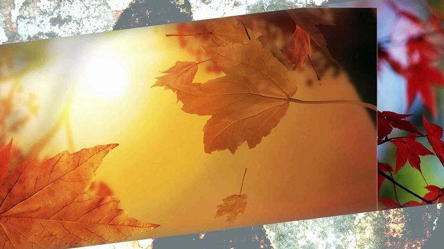 Vasilija Radojcic - Koja gora Ivo_