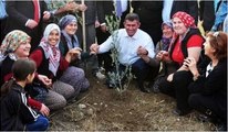 Barolar Birliği Başkanı Feyzioğlu, Yırca'da Zeytin Fidanı Dikti