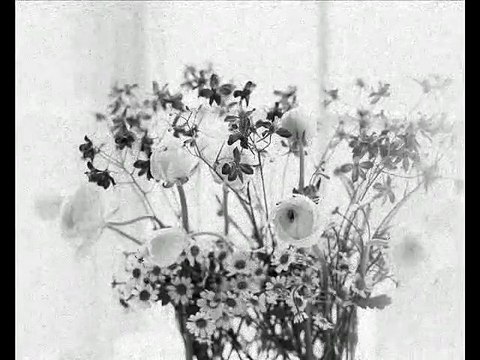 Vasilija Radojcic - More, bel peline!