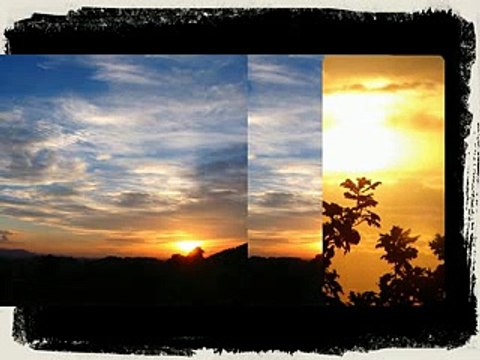 Vasilija Radojcic - Nekad cvale bele ruze!