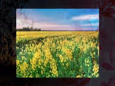 Vasilija Radojcic - Radule (Gde ima voda studena Radule_)