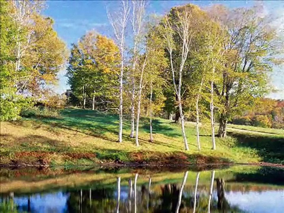 Vasilija Radojcic - Ravno polje, zao mi je na te!