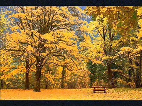 Vasilija Radojcic - S one mi strane