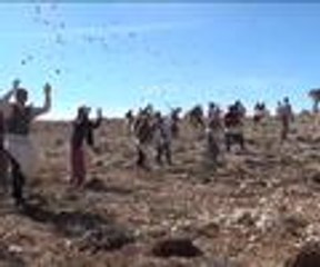 10 milyar sedir tohumu toprakla buluşuyor