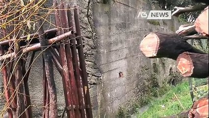 FRANE A TARCENTO, 14 FAMIGLIE SFOLLATE