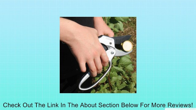 Pruners, Ratchet Anvil Garden Shears, Tool For Weak Hands, Great Gift For Gardeners, Ratcheting Action, Free - Video Training Guide, Makes Pruning Trees, Shrubs, Evergreens, Flowers, Perennials Easier, Prunes Wood Up To 1 , Right Or Left Handed, Easy To U