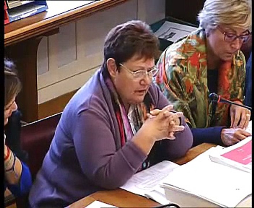 Roma - Audizione Soprintendente Teatro dell'Opera, Fuortes (12.11.14)