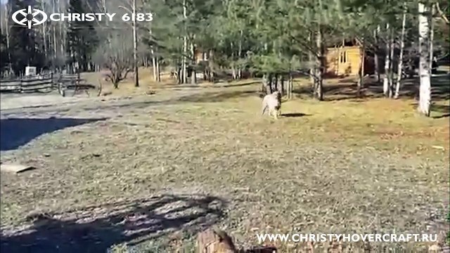 На рыбалку по ледоходу реки Агул. Сибирь. СВП Christy 6183