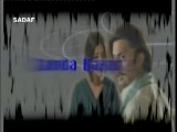 Pakistan drama Serial Episode (13_41) Landa Bazar