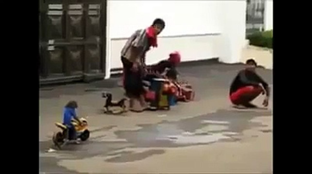 Funny Monkey