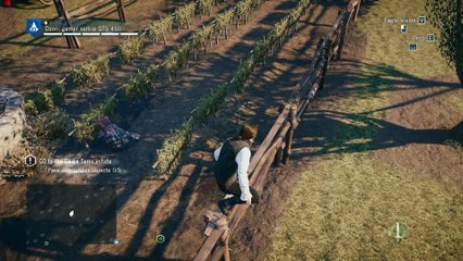 Assassin's Creed Unity GTS 450 1080p