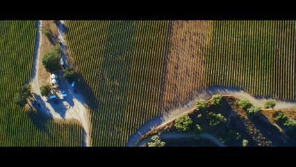 DJI Inspire 1 – “Vintage”