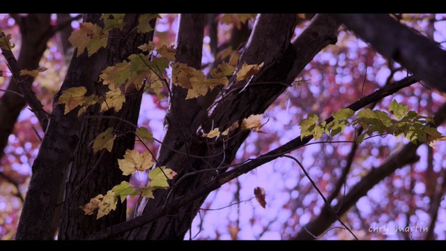 Super hit New Malayalam Christian Devotional Song Oroninnum Oro Samayam by Rex Jose (UK)