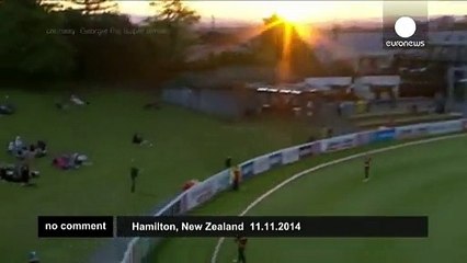 New Zealand cricket fan wins 3000 euros for stunning one-handed catch