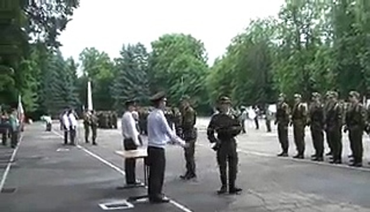Falling Tree Interrupts Ceremony  Video