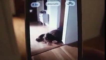 So Sad? Why Watch What's Happened