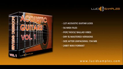Acoustic Guitars Vol. 1