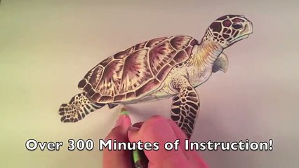 Be One Of The Winners This Week On Mobile Monopoly Contest