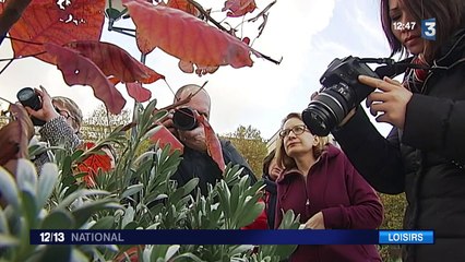Les cours de photo ont la cote