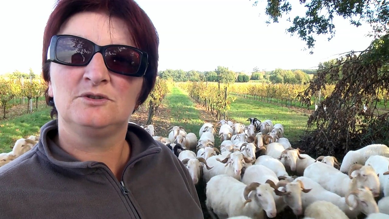 La bergère de Daignac