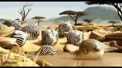 Komedi hayvanlar Funny Crazy and Funny s Compilation video