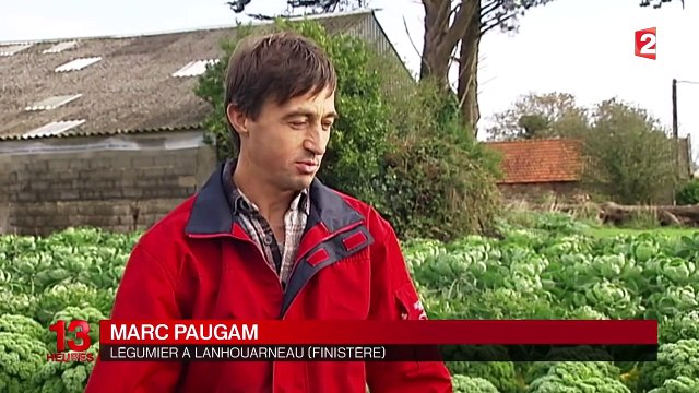 Le Kig ha farz, un plat d'hiver aux saveurs d'autrefois