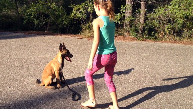 dressage canin la ciotat 13 , éducation du chiot en milieu urbain par l'enfant