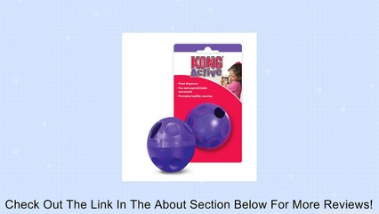 KONG Active Treat Ball Toy for Cats Review
