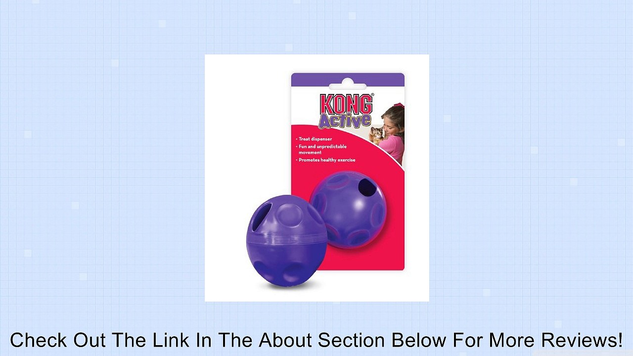 KONG Active Treat Ball Toy for Cats Review