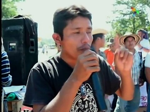 Eight people injured in protests over palm plantations