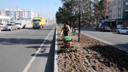 Batman'da Ağaçlandırma Çalışmaları