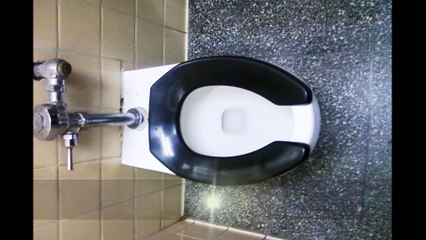 Public toilets of NYC