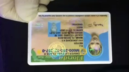 florida driving license, id, buy now