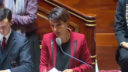 Recherche : question au gouvernement et réponse de Najat Vallaud-Belkacem