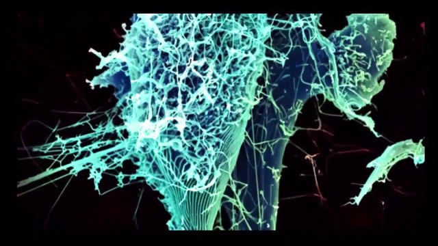 Ebola checklist Now is the time to prepare Illuminati Ebola Outbreak 2014