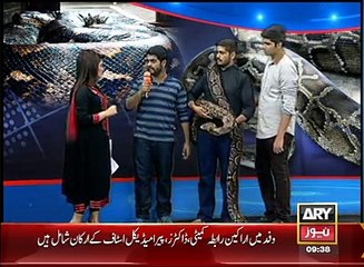 20 Feet Long Python Reached ARY News Studio