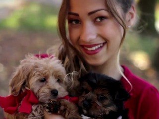 Skylar Stecker - All I Want For Christmas Is You