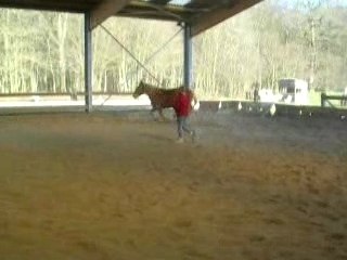 Kelly sensé galopé,