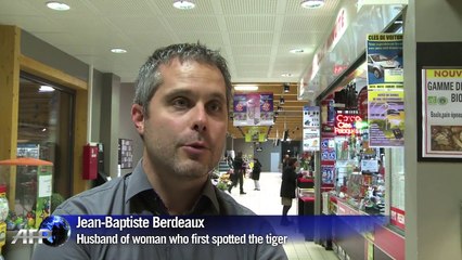 French police hunt for tiger on the loose near Paris