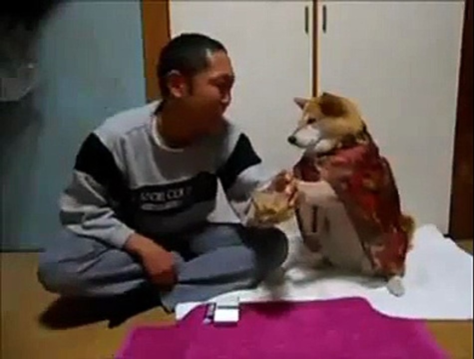 Streetprank. Chinese weeping with Bollywood dog Top Funny video