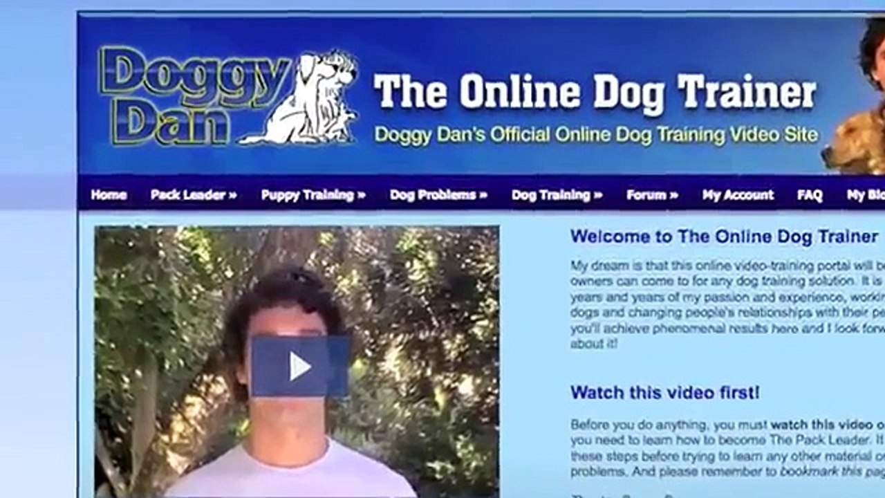 The Online Dog Trainer Doggy Dan