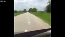 The road markings guy is drunk again