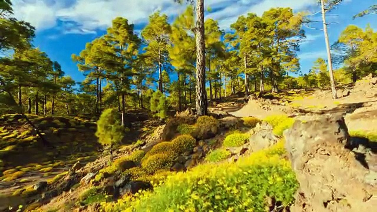 A Viagem - Tema da Diná no céu