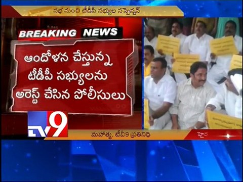 Revanth, Errabelli and other TDP MLAs suspended from house, stage protest